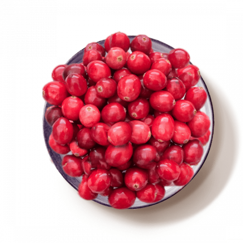 deco-cranberries